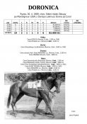 Doronica-89w