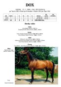 Dox-84-tx-w