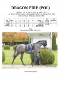Dragon-fire-pol-16w