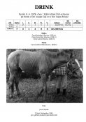 Drink-78w