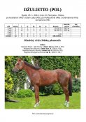 Dzulietto-pol-07w