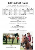 Eastwood-94w