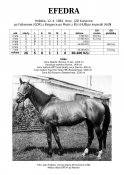 Efedra-82w