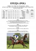 Efezja-pol-04w