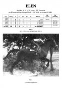Elen-79w