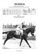 Elinga-85-agytroszt-w