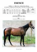 Esence-86w