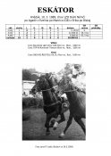 Eskator-89-agadir-w