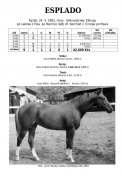 Esplado-82w