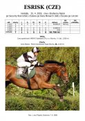 Esrisk-03w