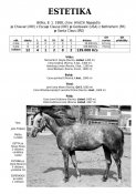 Estetika-88w