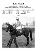 Estrada-79-w