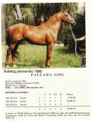 Fallada-90