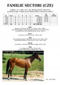 Familie_sectori-97w