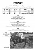 Faraon-77w