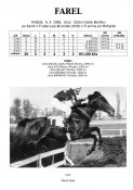 Farel-85w