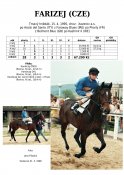 Farizej-95-ads-w