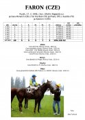Faron-96-dm