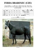 Ferda_brabenec-04w