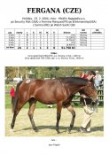 Fergana-04w