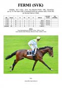 Fermi-svk-11w