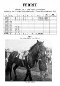Ferrit-86w