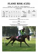 Flame_risk-06w