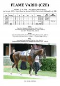 Flame_vario-08w