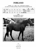 Forlano-82w