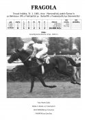 Fragola-81w
