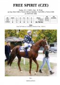 Free_spirit-03w