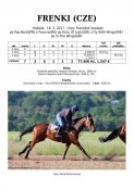 Frenki-17w