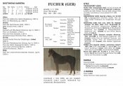 Fuchur20