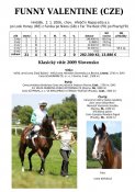 Funny_valentine_06w