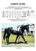 Gadyt-97-ads-w
