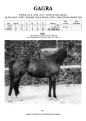 Gagra-78-w