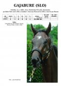 Gajabure-slo-05w