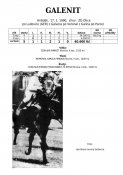 Galenit-90w