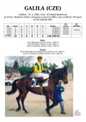 Galila-94w