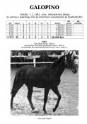 Galopino-83w