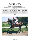 Gamil-98-ads-w