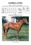 Gamila-93w
