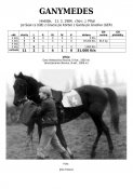 Ganymedes-84w