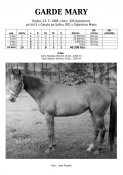 Garde_mary-85w