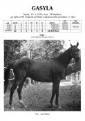 Gasyla-70w