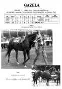 Gazela-83w