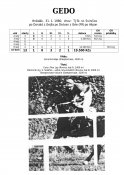 Gedo-80w