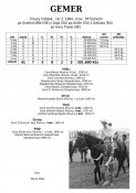 Gemer-84w