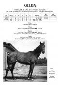Gilda-81-w