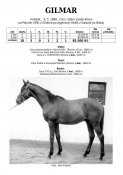 Gilmar-89w